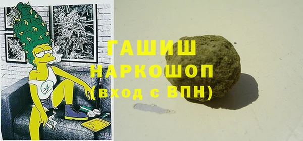 тгк Абаза